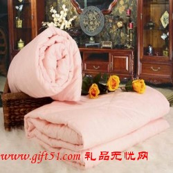 夏季新款時(shí)尚含香蠶絲被