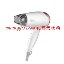 奔騰電吹風PH3803